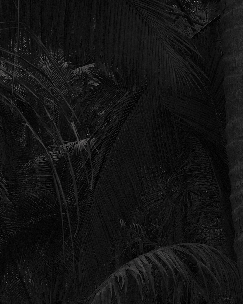 0009_web