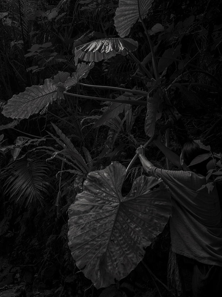 0012_web