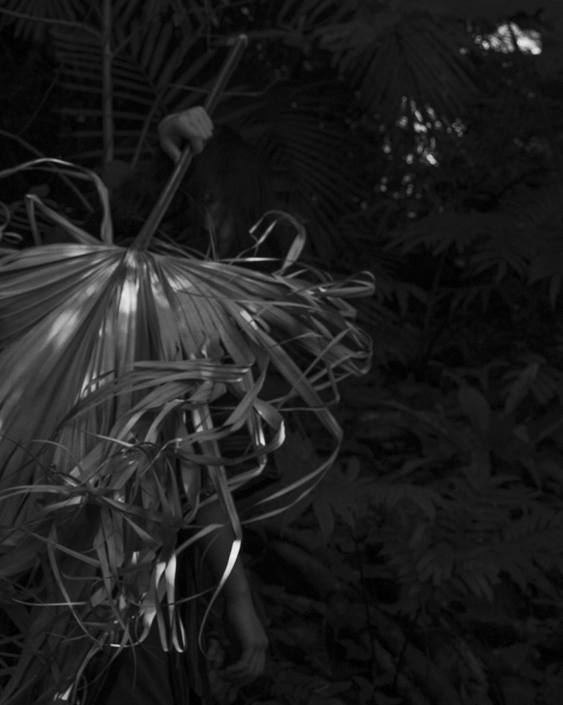 0014_web
