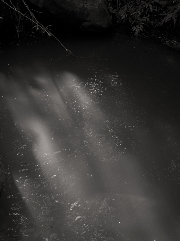 02_web