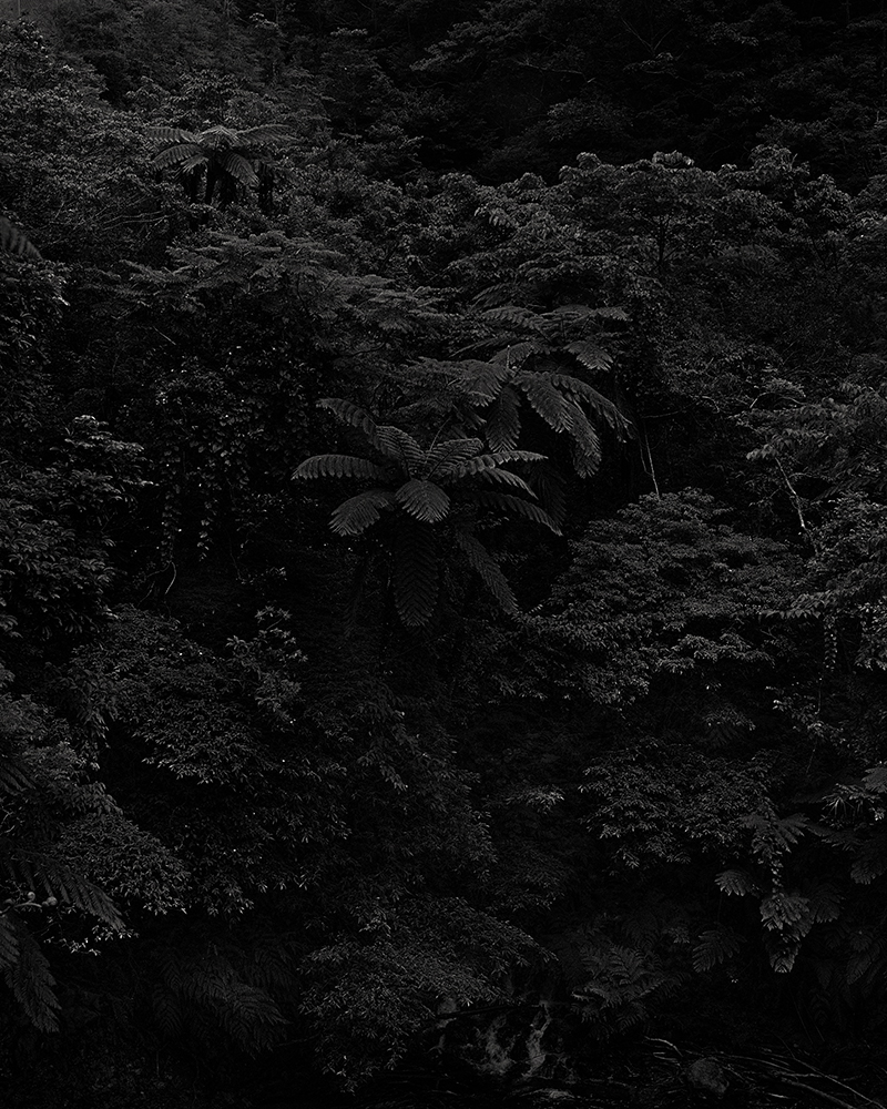 03_web