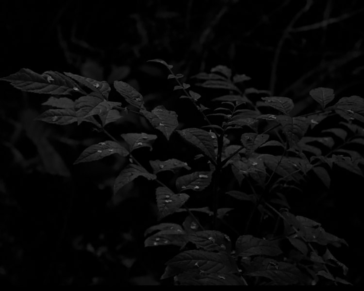 05_web