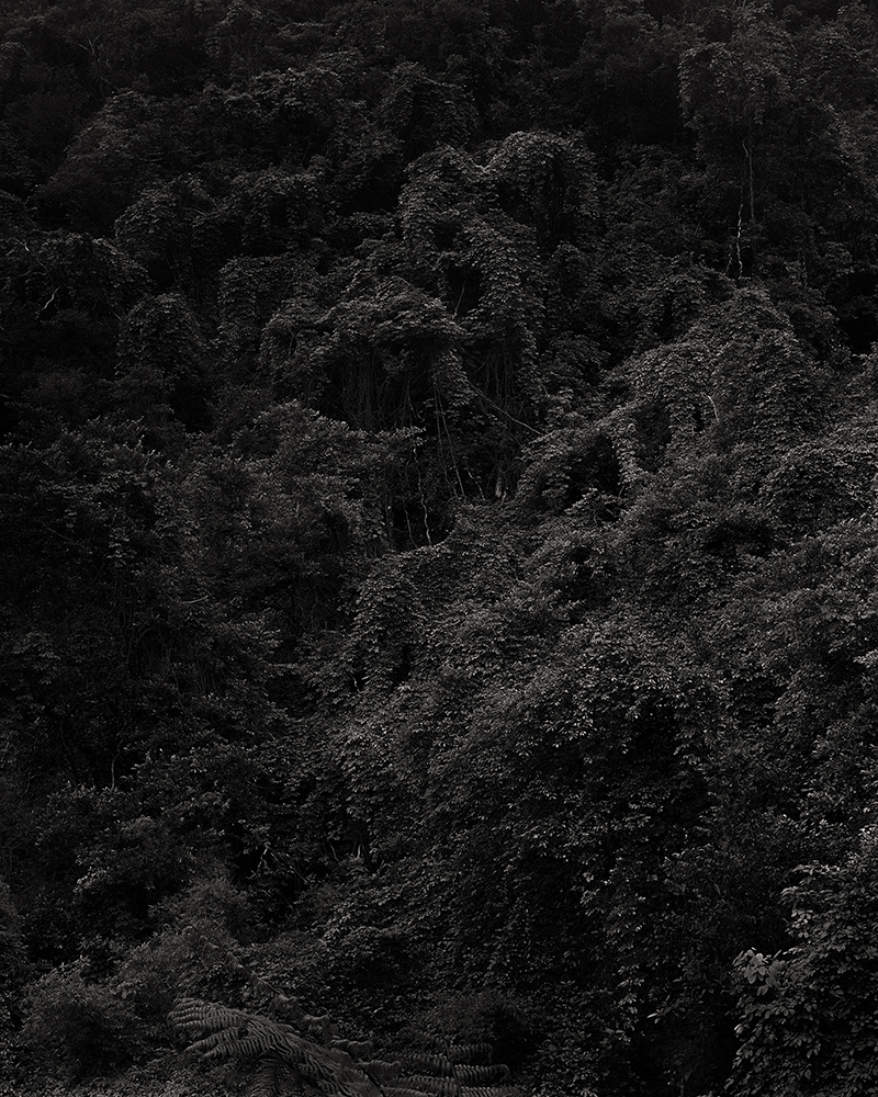 06_web