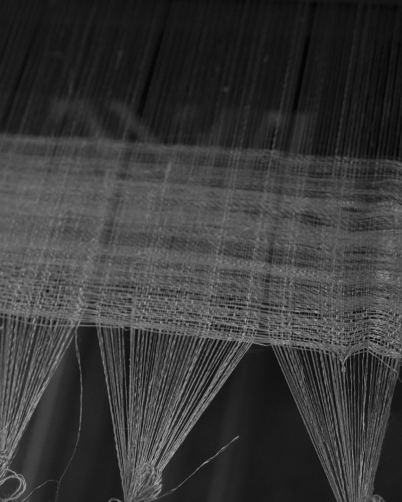 08_web