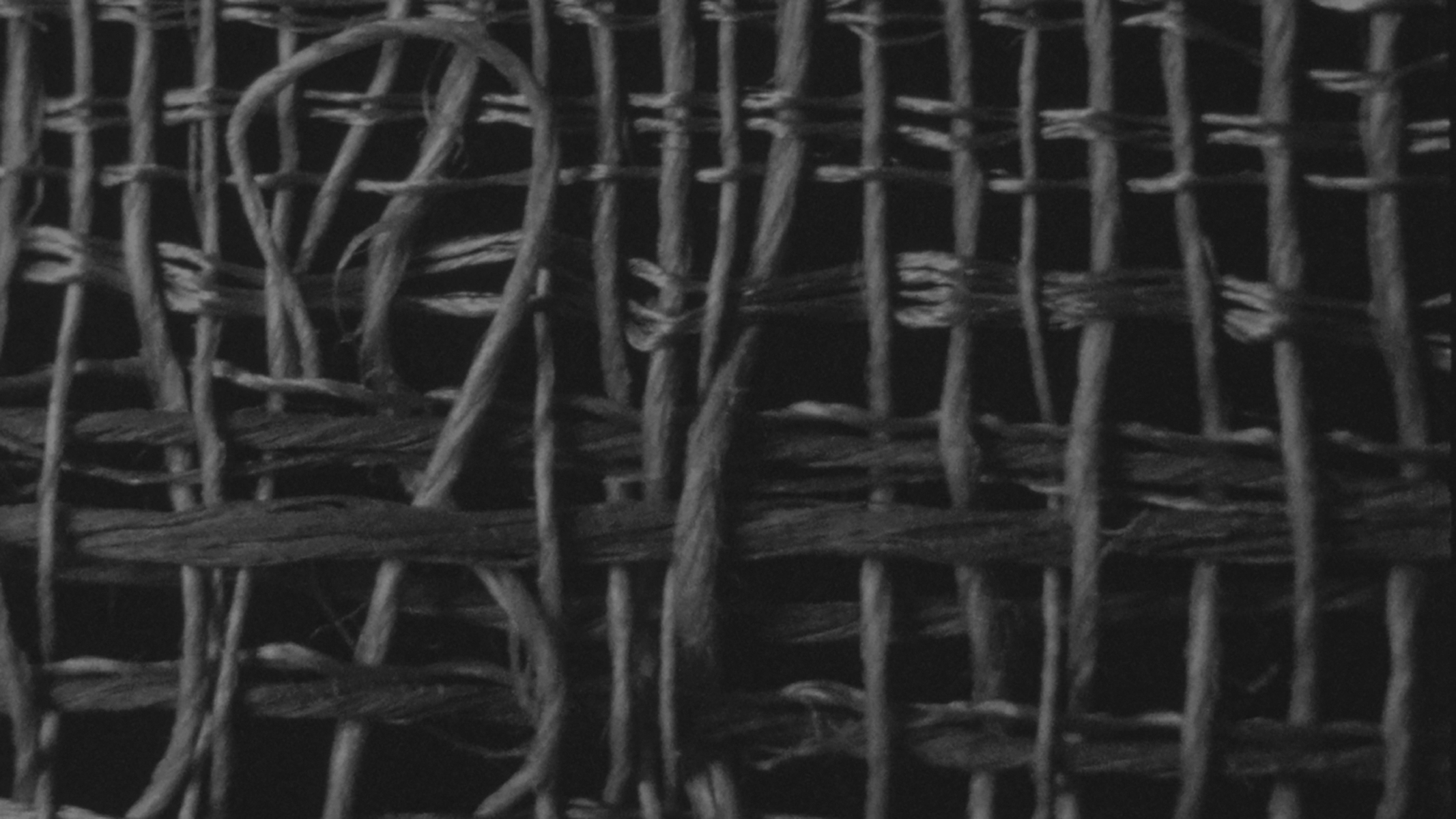 16mm_aaton775500